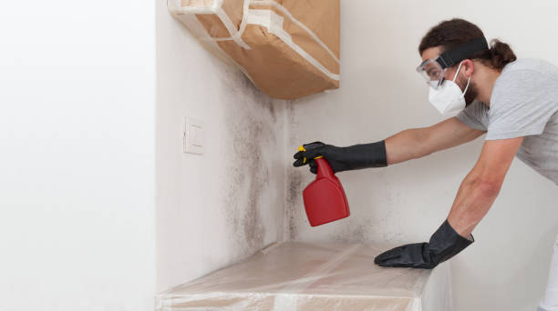 Professional Crawl Space Mold Removal technician working in Brighton, MI