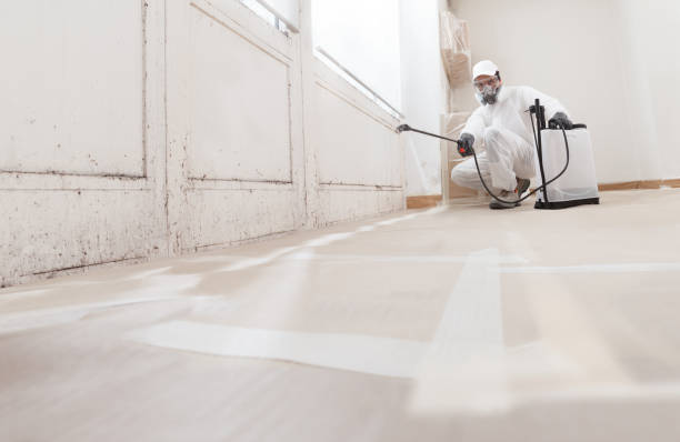 24/7 Emergency Crawl Space Mold Removal experts in Brighton, MI