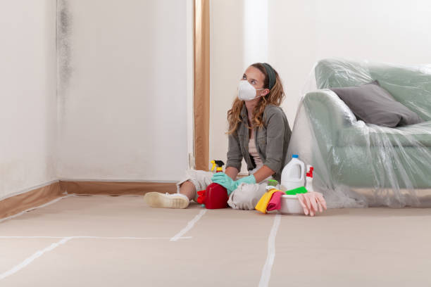 Reliable Crawl Space Mold Removal contractor in Brighton, MI by WQB Mold Removal